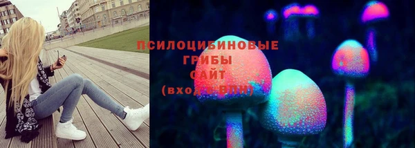 твердый Белокуриха