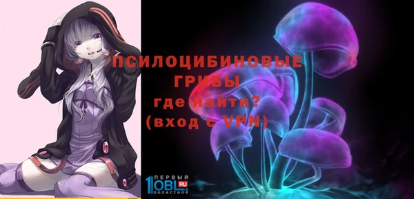 твердый Белокуриха