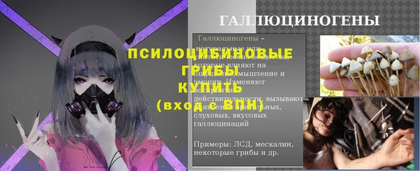 твердый Белокуриха