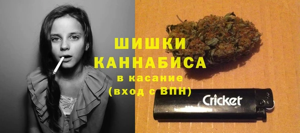 твердый Белокуриха