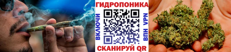 Канабис Bruce Banner  Светлогорск 